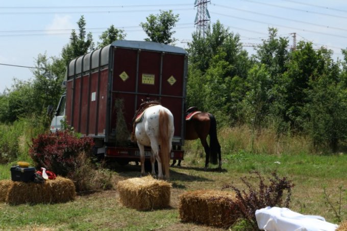 Oasi degli Amici Animali